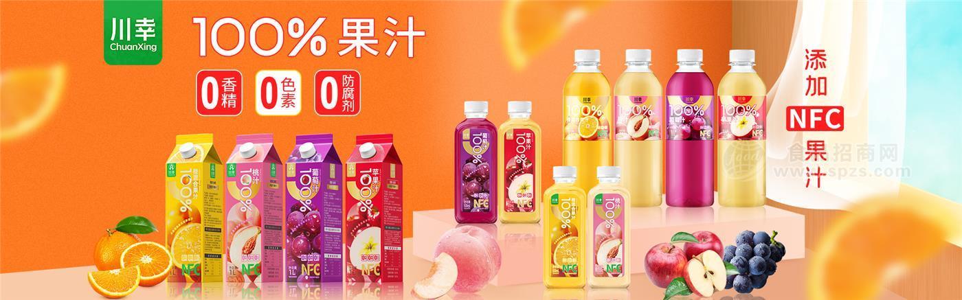 _如何打造标杆项目_区域标杆市场打造方案